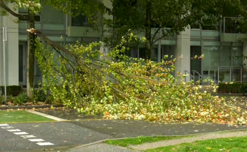 大風吹襲卑詩南部海岸 超過17萬戶居民失去電力供應