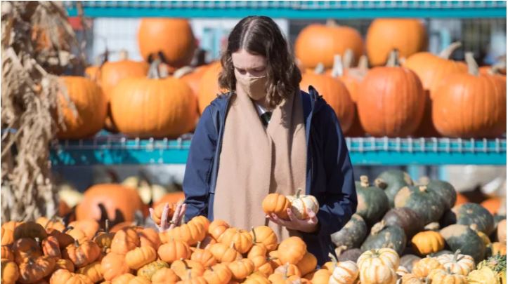 全國5省新增975宗新冠肺炎病例 多14人病逝