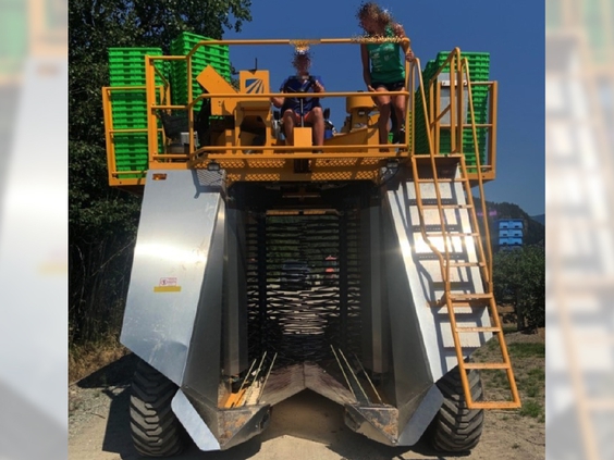 20英尺高的藍莓收割機也有人偷？ 因為它值27.5萬元