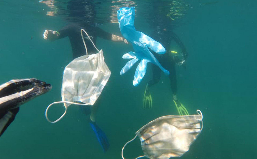 【有片】口罩成了環境亂源   一個小動作就能改變很多