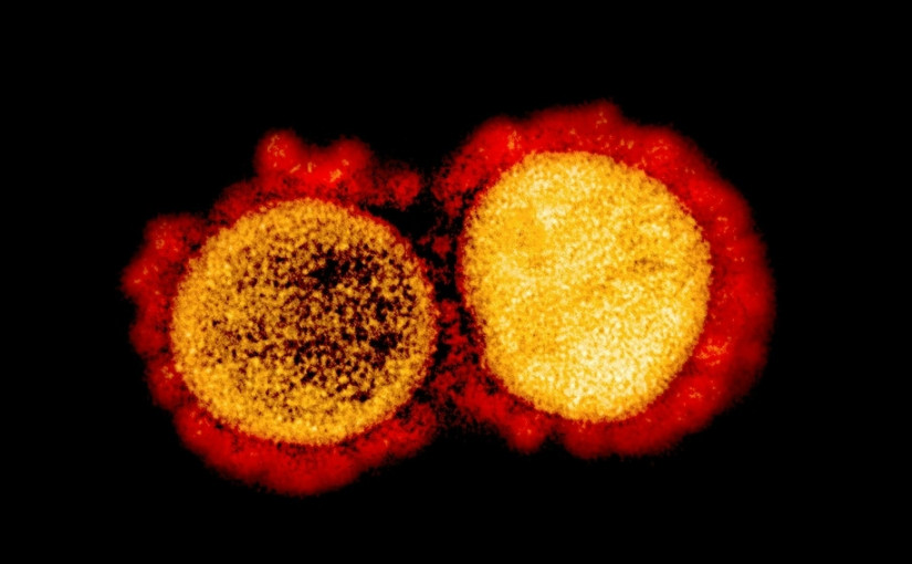 本省私人聚會新禁令：客人不能超過6人