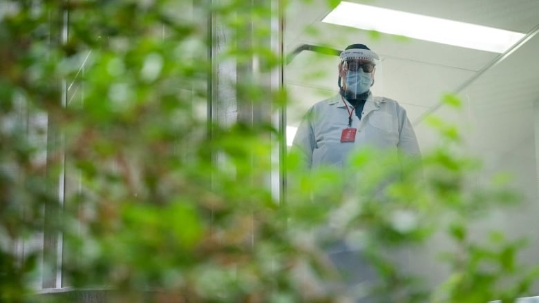 加拿大8個省份新增新冠病例3,120宗 又有45人死亡