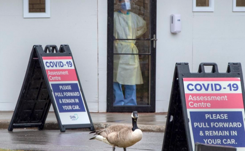 【更新】安省日增1,581個新冠病例創紀錄 再有20人因疫死亡