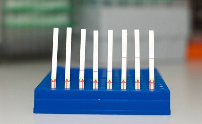 加拿大衛生部批准首個加國研制的新冠病毒快速測試盒