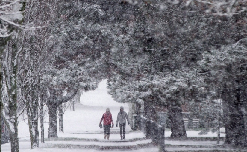 反聖嬰現象來襲   加拿大今年冬天會特別冷