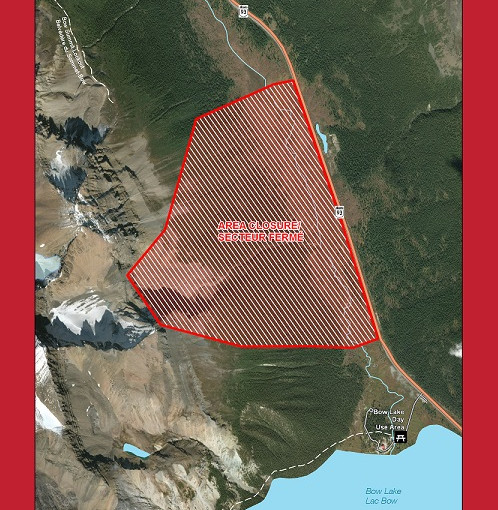 因灰熊冬眠 班芙國家公園弓湖附近地區已關閉