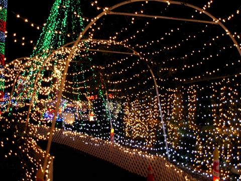 「明亮之夜小火車」聖誕節如期舉辦