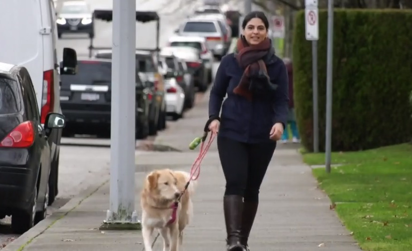 寵物狗「太高」 寵物主接柏文業主立案法團通知要求將狗送走