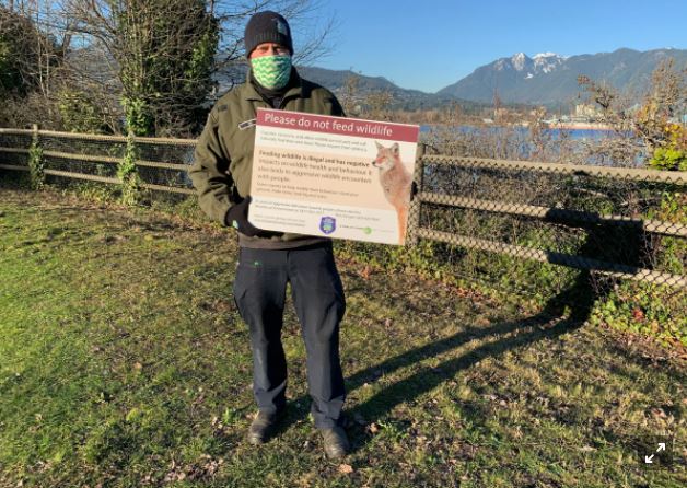 史丹利公園一緩步跑女子遭郊狼襲擊受傷