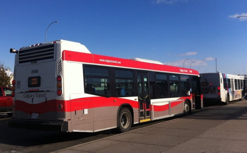 卡城善心巴士司機將遺失的錢包歸還乘客