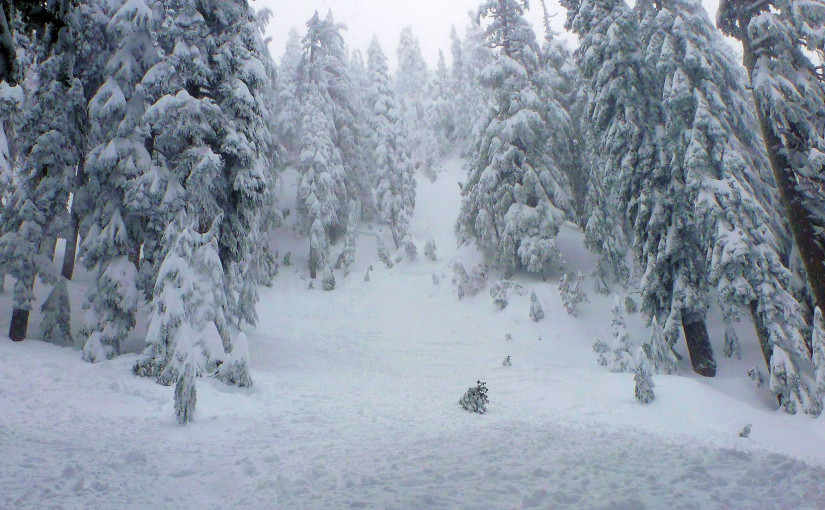 【細節公佈】 卑詩省雪崩造成三名德國遊客喪生