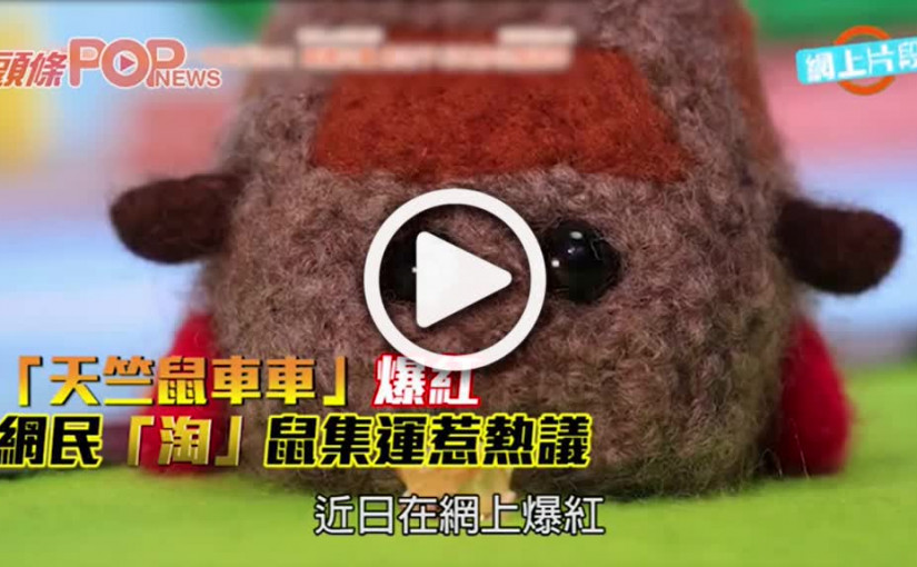 「天竺鼠車車」爆紅 網民「淘」鼠集運惹熱議
