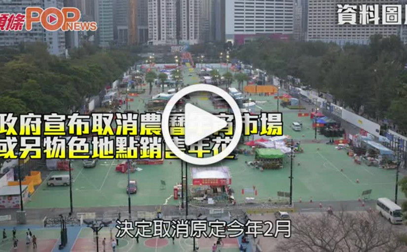 政府宣布取消農曆年宵市場 或另物色地點銷售年花