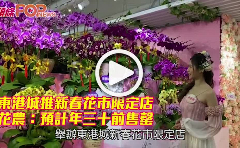 東港城推新春花市限定店 花農：預計年三十前售罄