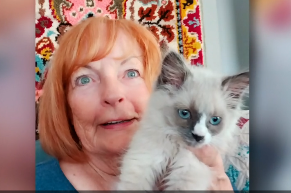 安省女子網上買貓被騙近2,200元