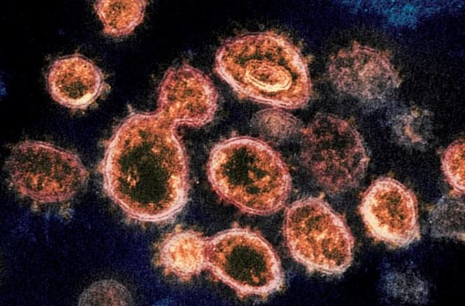 皮爾區2教師傳感染英國變種病毒