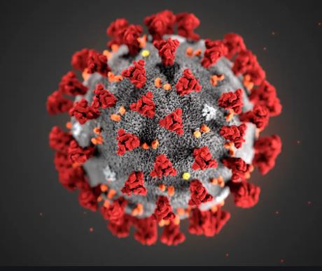 SFU研究：菲沙衛生區病例數目較多與區內家庭成員較多有關
