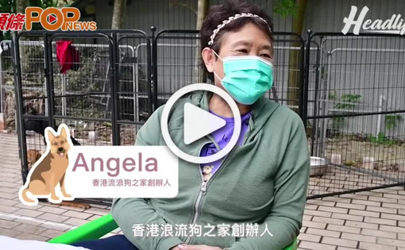 愛寵一生一世勿棄養