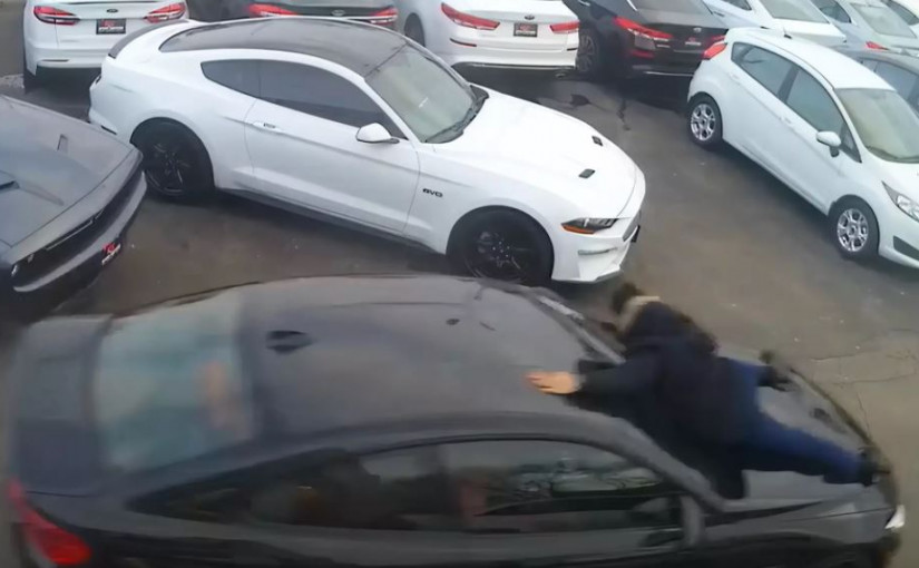 【有片】賊人假扮睇車 搶走名貴轎跑寶馬 銷售員跳上車頭力阻失敗