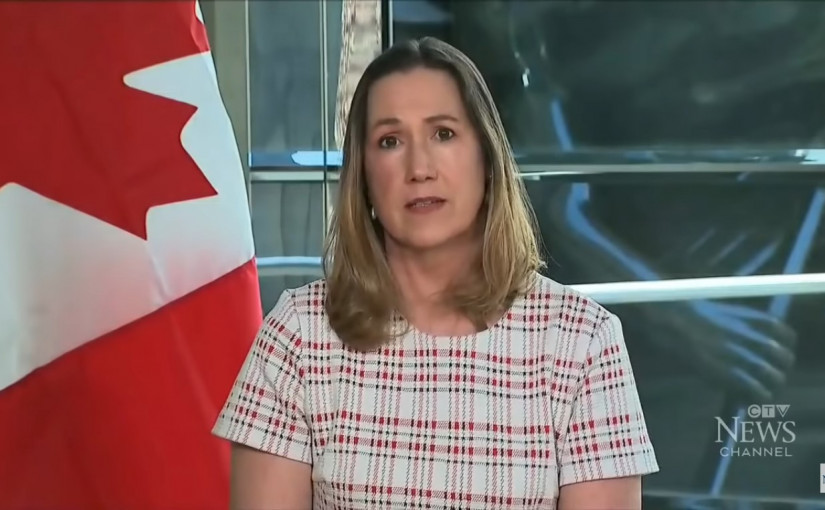 本國駐美大使稱美國視「兩個米高」為自己公民