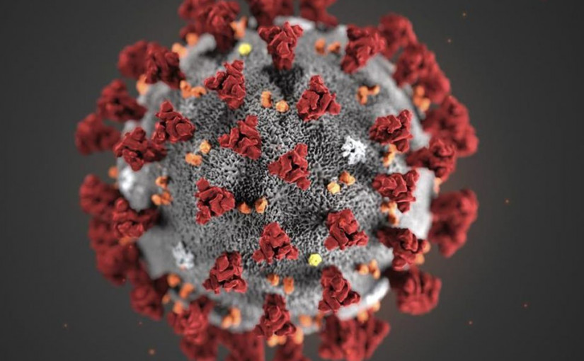 大溫都會局推新在線工具 民眾可追蹤區域污水病毒含量