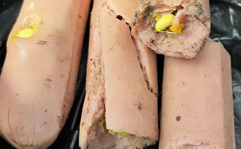 多倫多有公園發現可疑食物 寵物主人溜狗須小心