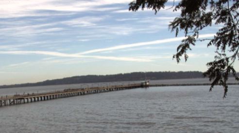 白石海旁碼頭景點擠滿人 市議會周三再討論