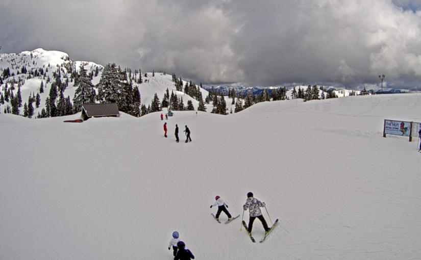 12歲男童北溫滑雪場撞樹傷重不治