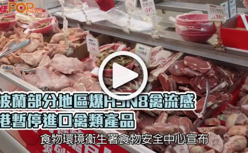 波蘭部分地區爆H5N8禽流感  港暫停進口禽類產品
