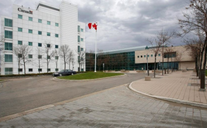 安省B.1.617變種（印度）病例1周增4.78倍