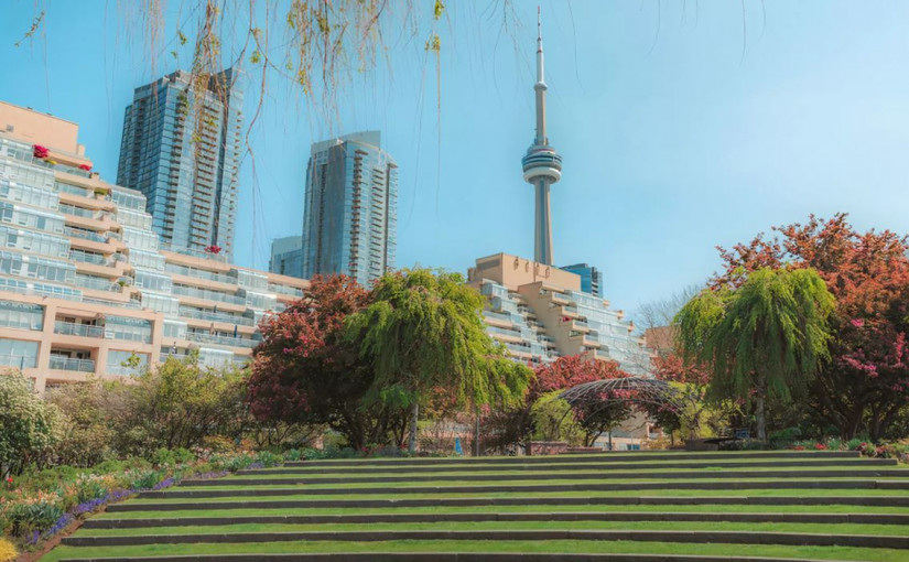 多倫多周末體感氣溫高達34度