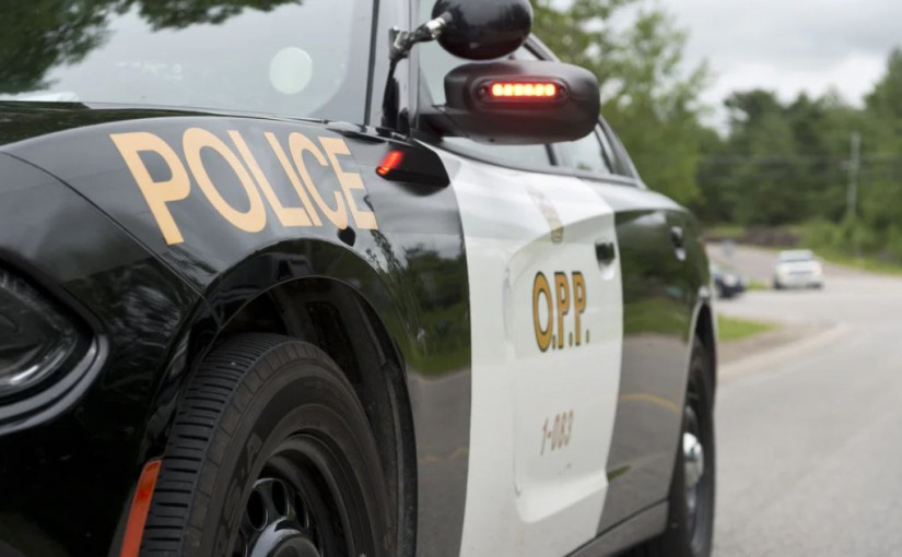 持戒劫案發生同日 省警快速破案兼拘捕5人