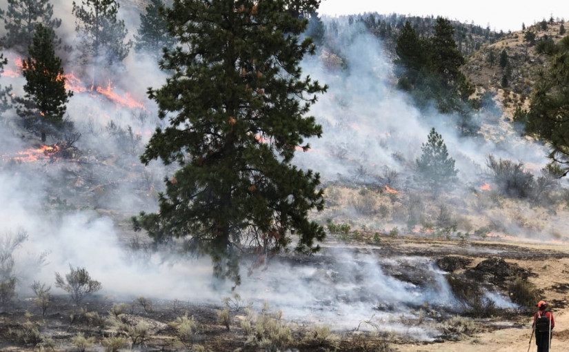 林業專家稱 乾燥的春季提高本國西岸地區的山火風險