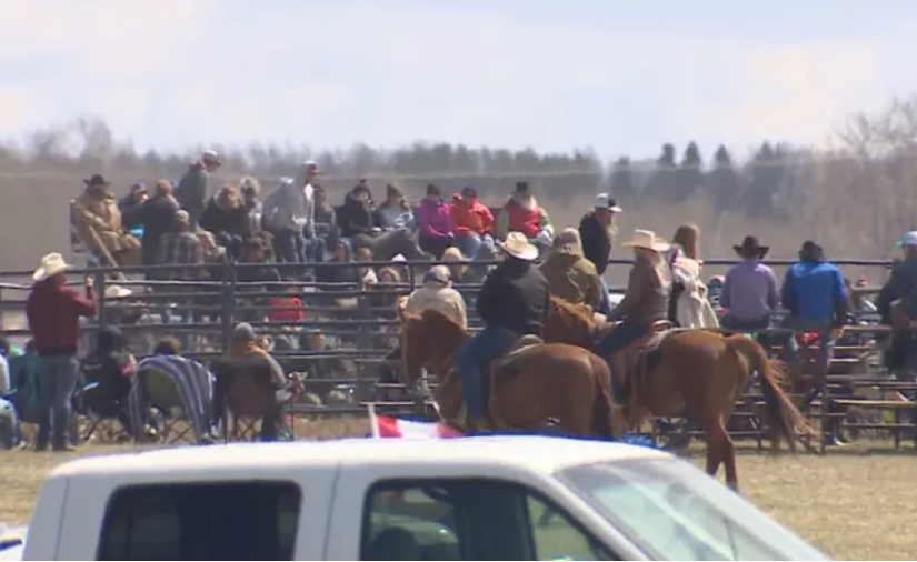亞省數百人參加牛仔競技比賽 AHS或採取法律行動