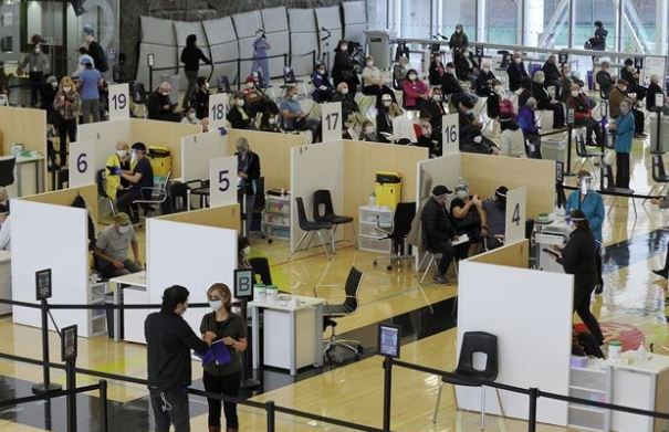 多倫多市府「谷針」 周日預約打針者可免費乘車