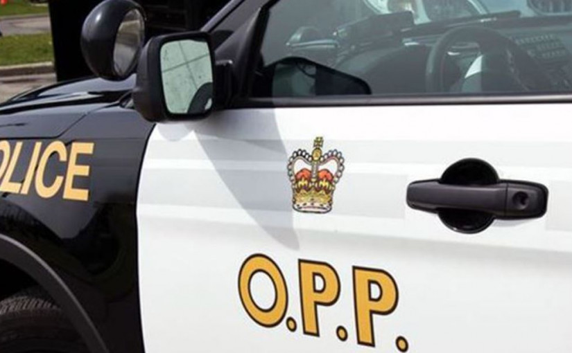 再有華裔人士非法種植大麻被捕