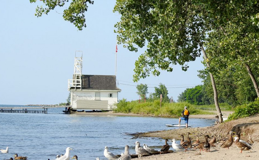 多倫多3湖灘大腸桿菌超標 市府警告不適合游泳