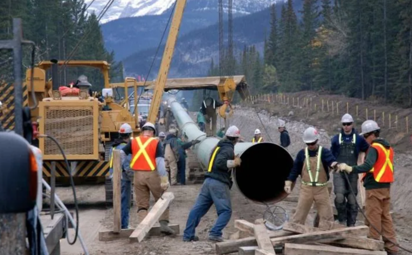 橫山輸油管擴建項目被要求暫停砍伐樹木