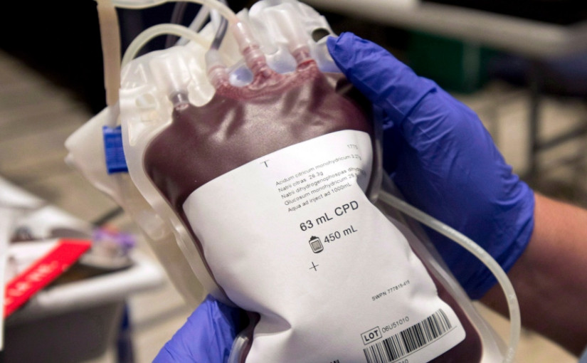 為修訂男同性戀者捐血資格設限  文件指是衛生部主意