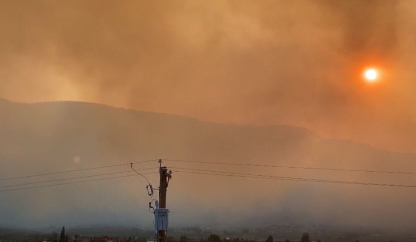 卑詩山火令一些省立公園要暫時關閉