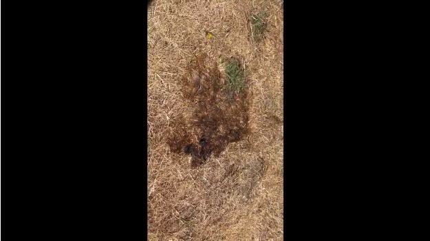 卑詩省目前有245宗活躍山火 山火服務處關注天氣情況