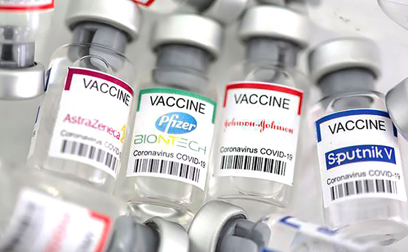 丹麥研究指「溝針」受病毒感染風險降88％