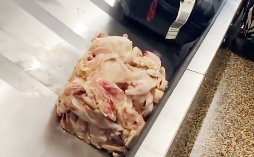 【視頻新聞】驚人！行李運輸帶出現冰鮮雞