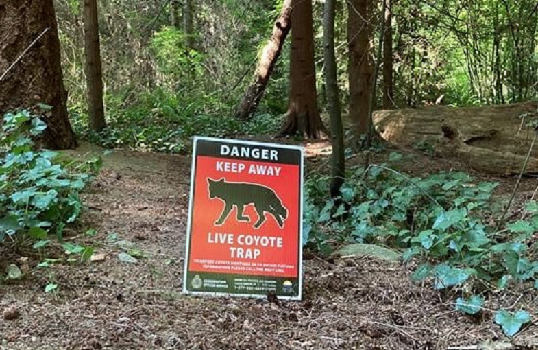 溫哥華水族館周一重開  郊狼襲人威脅猶在