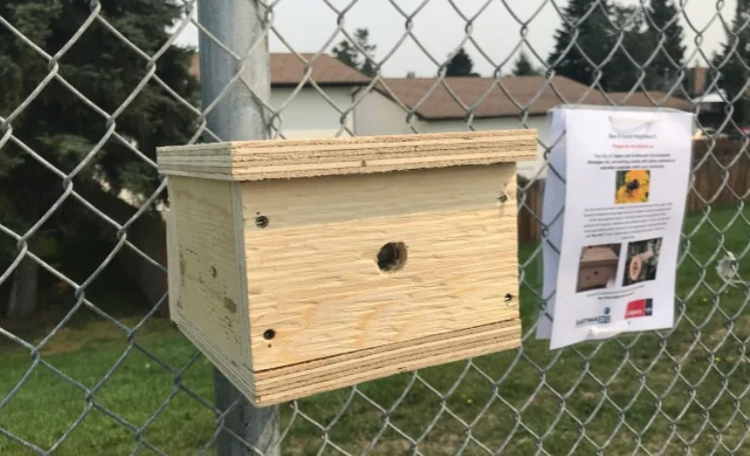 卡加利試點項目目標  節省資金並促進生物多樣性