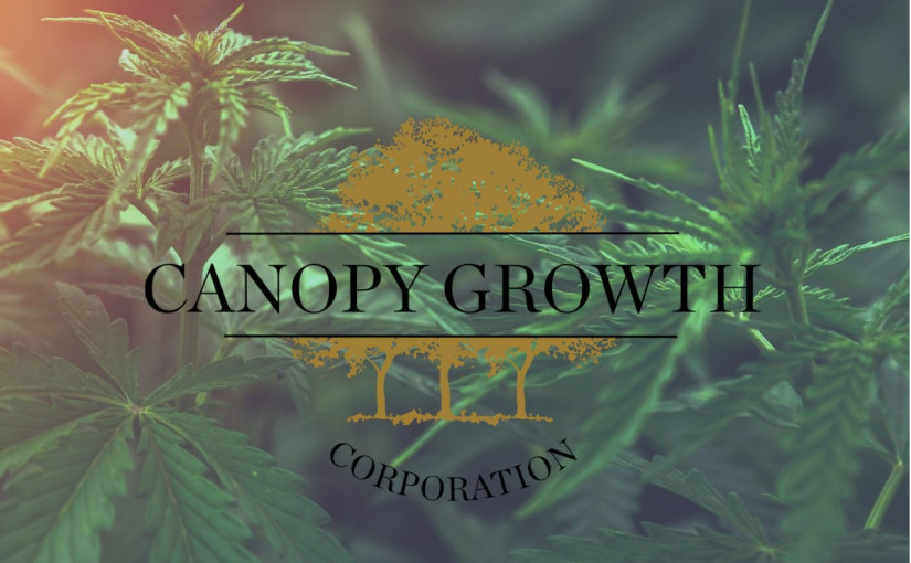 Canopy首季營收增逾兩成  投資專家解讀財報要點