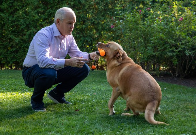 【聯邦大選2021】保守黨促禁狗隻繁殖場  將虐待動物與起訴家暴連結