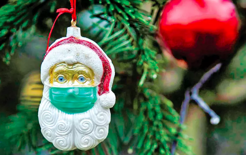 加拿大極端高溫導致大量聖誕樹枯死