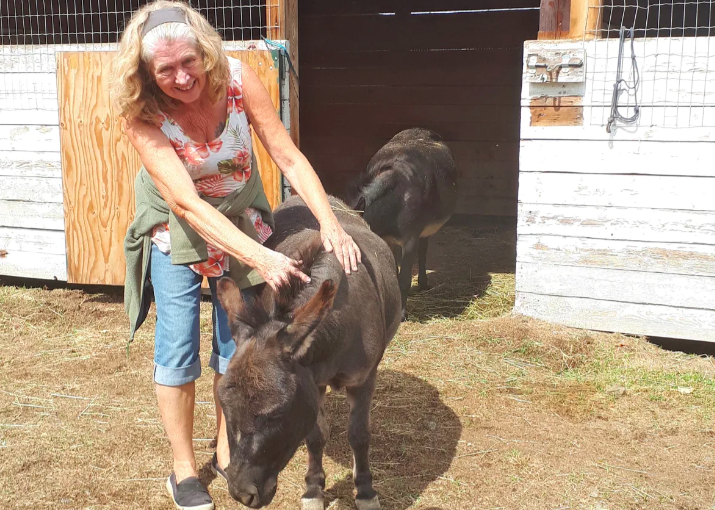 山火繼續肆虐　義工團體拯救流離失所的動物