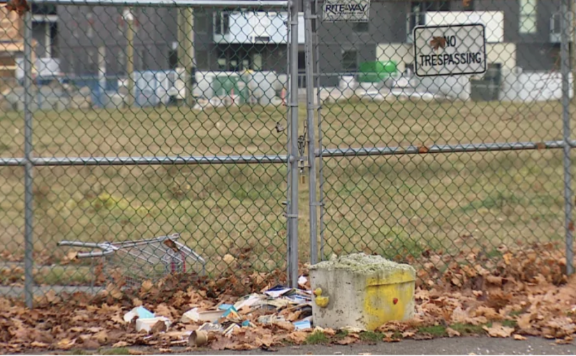 溫東小山交易細節公開 開發商罕見獲18年無息貸款